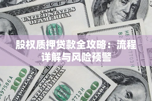 北京股权质押贷款全攻略：流程详解与风险预警
