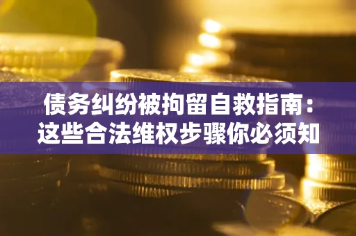 北京债务纠纷被拘留自救指南：这些合法维权步骤你必须知道！