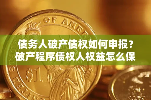 北京债务人破产债权如何申报？破产程序债权人权益怎么保障？