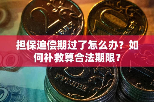 北京担保追偿期过了怎么办？如何补救算合法期限？