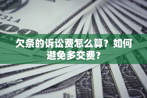北京欠条的诉讼费怎么算？如何避免多交费？