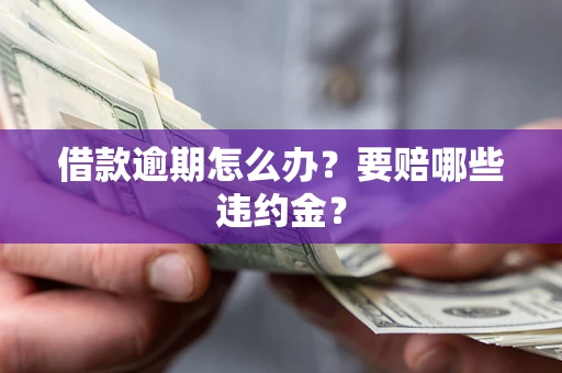 北京借款逾期怎么办？要赔哪些违约金？